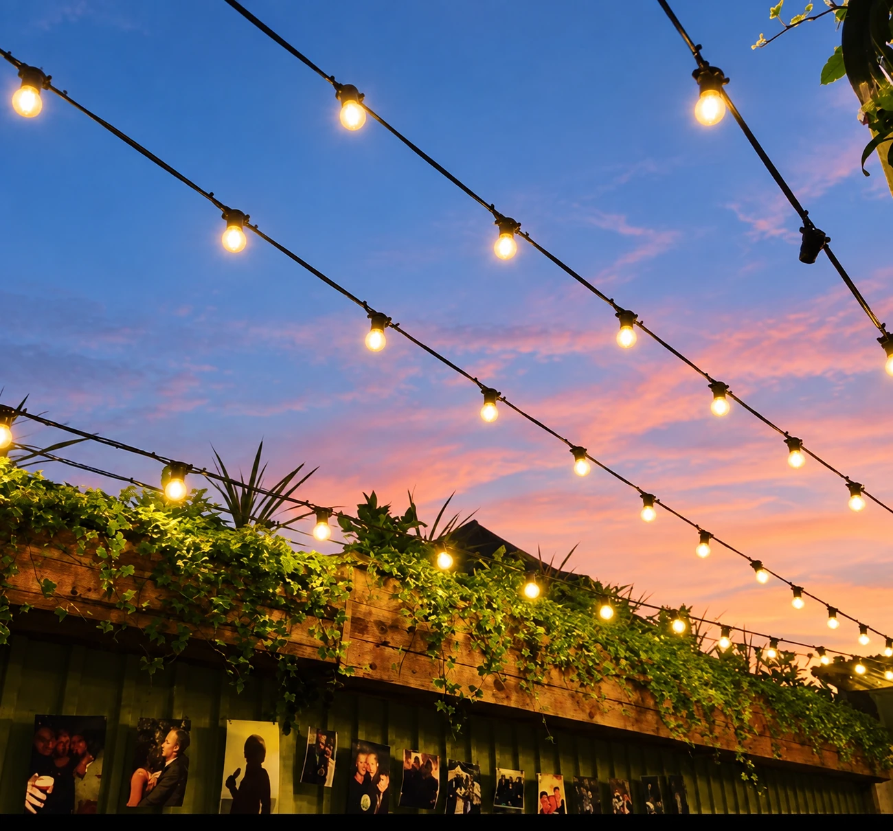 Warm string lights above the leafy courtyard at twilight